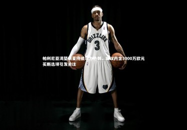 ng体育官网：帕利尼亚渴望明夏持续效力热刺，协议内含3000万欧元买断选项引发关注