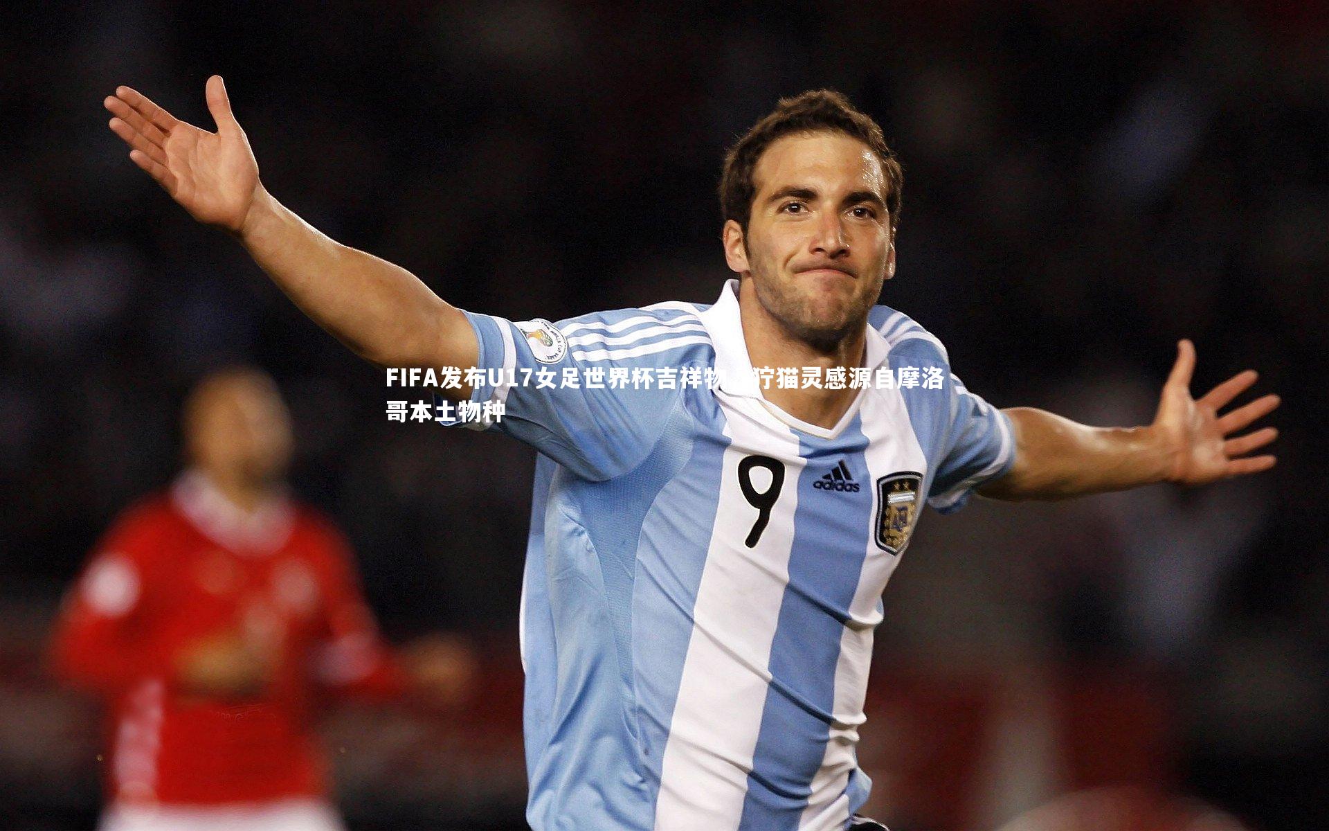 FIFA发布U17女足世界杯吉祥物，狞猫灵感源自摩洛哥本土物种