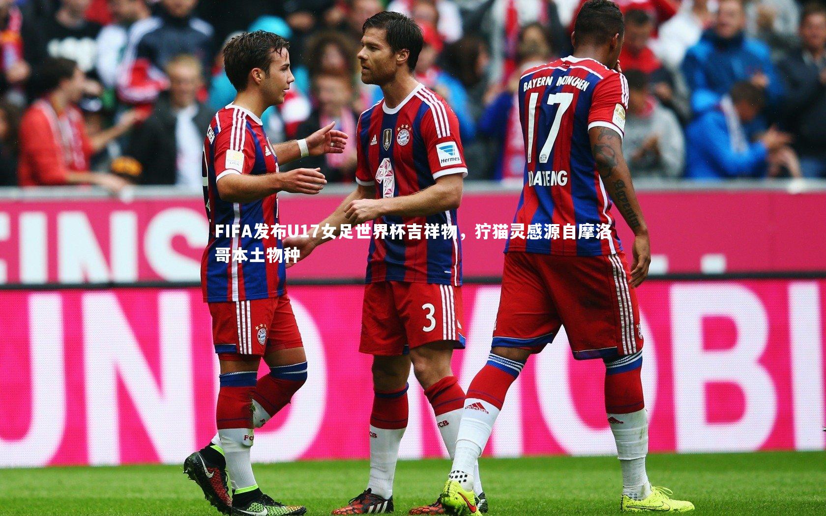 FIFA发布U17女足世界杯吉祥物，狞猫灵感源自摩洛哥本土物种