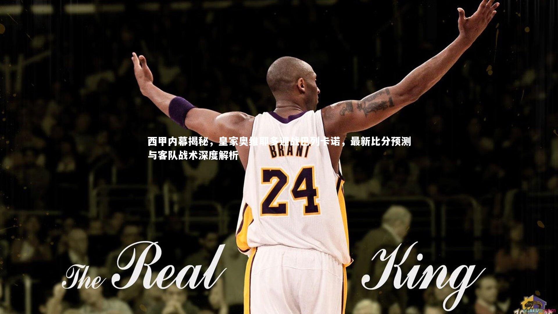 西甲内幕揭秘，皇家奥维耶多迎战巴列卡诺，最新比分预测与客队战术深度解析