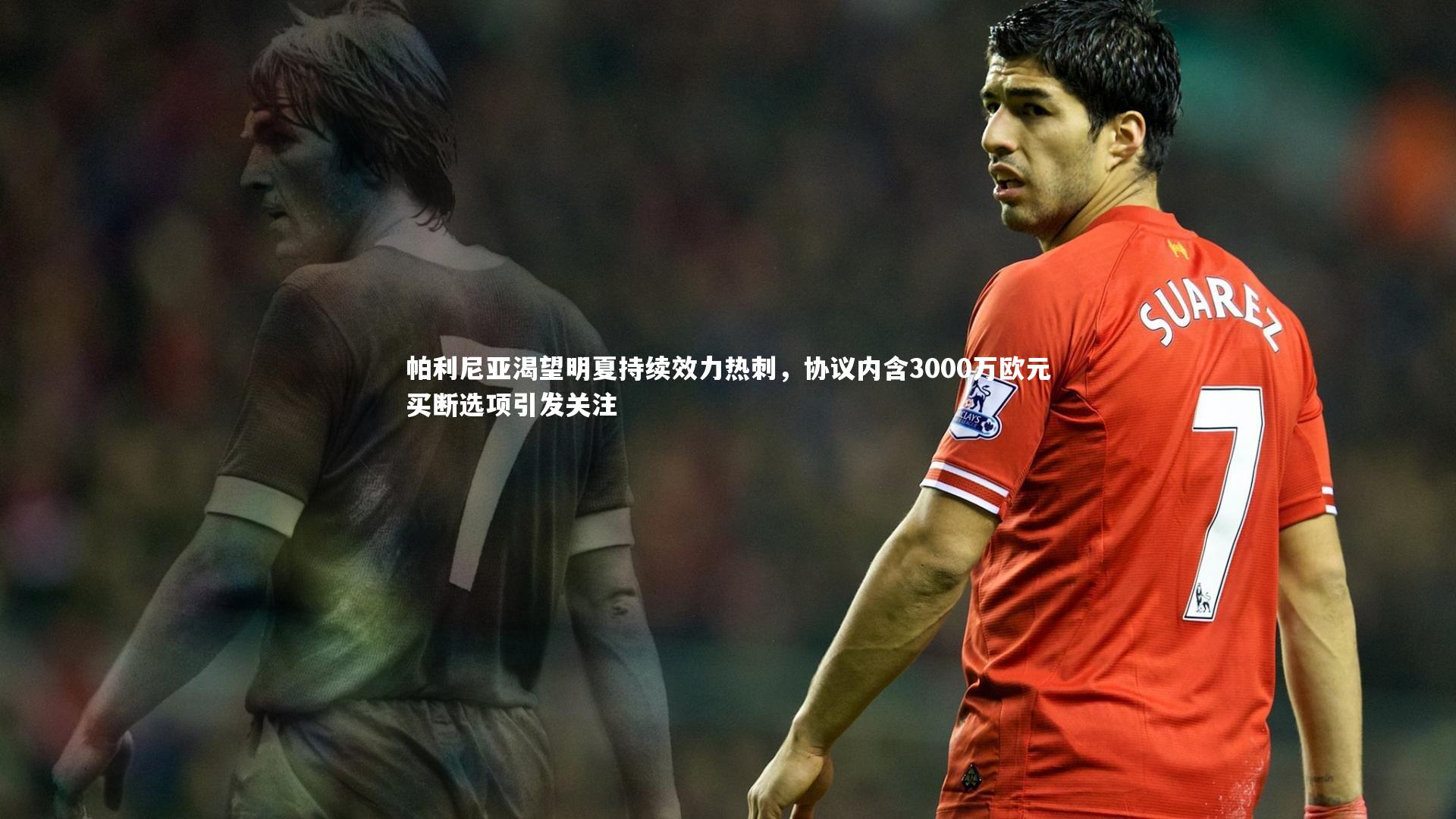 帕利尼亚渴望明夏持续效力热刺，协议内含3000万欧元买断选项引发关注
